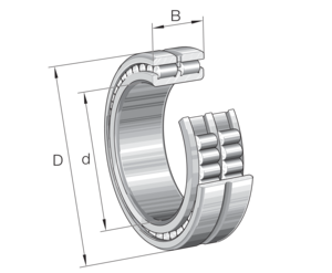 INA Bearing SL024876