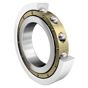 FAG Bearing 6216-M-J20AB