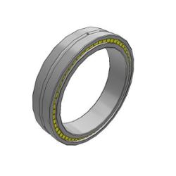 SKF Bearing NNCL 4834 CV